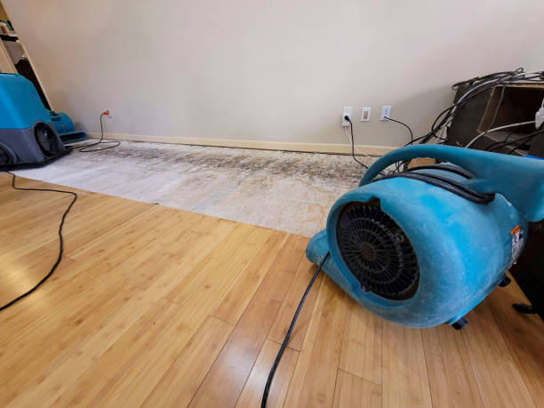 Professional Flood Damage Cleanup technician working in Magnolia, OH